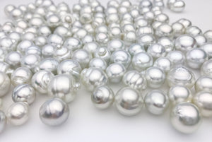 Silver South Sea, AA, 10mm to 15mm, SB, Loose Pearls (198)