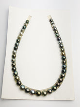 Loose Tahitian Pearls Set, Multicolor, Wholesale - Only 16 dollars per pearl - A Quality (418)