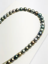 Loose Tahitian Pearls Set, Multicolor, Wholesale - Only 17 dollars per pearl - A Quality (424)