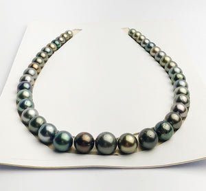 Loose Tahitian Pearls Set, Multicolor, Wholesale - Only 17 dollars per pearl - A Quality (424)