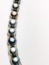 Loose Tahitian Pearls Set, Multicolor, Wholesale - Only 17 dollars per pearl - A Quality (424)