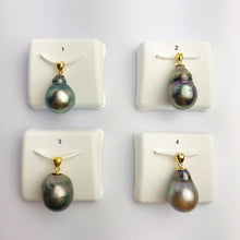 14mm Tahitian Pearl Pendants on 18K Gold Plated Sterling Silver (437 No. 1-4)