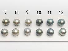 9.5mm-10mm Tahitian AA Loose Matched Pearls, 10mm Round (274)
