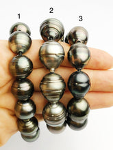 BIG Tahitian Pearl Bracelet on Leather - 17mm to 15mm (400 No. 1-3)