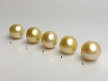 15mm - Golden South Sea Loose Pearls - Round - AA - 50% Percent Off Special, South Sea (#583 No. 1-5)