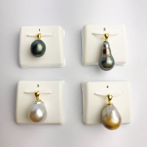 12-14mm Tahitian Pearl Pendants on 18K Gold Plated Sterling Silver (444 No. 1-4)