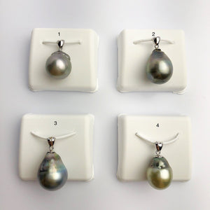 12-15mm Tahitian Pearl Pendants on 925 Sterling Silver (489 No. 1-4)