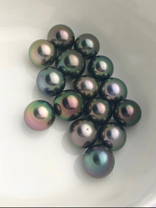 AAA Tahitian 12-13.9mm Tahitian Pearls