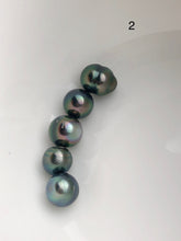5 Pearls - Multicolor Tahitian Peacock Loose pearls - Semi-Round to Oval - A+ Quality - 10 to 11mm (#565 No. 1-6)