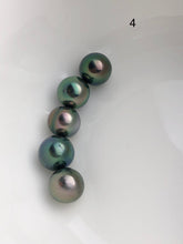 5 Pearls - Multicolor Tahitian Peacock Loose pearls - Semi-Round to Oval - A+ Quality - 10 to 11mm (#565 No. 1-6)