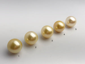 16mm - Golden South Sea Loose Pearls - Round - AA - 50% Percent Off Special, South Sea (#576 No. 1-5)