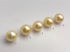 15mm - Golden South Sea Loose Pearls - Round - AA - 50% Percent Off Special, South Sea (#583 No. 1-5)