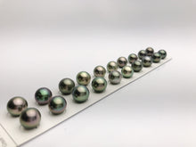 Tahitian Loose Pearl, AA, Peacock Color Matched Pairs 11mm to 11.9mm, #625