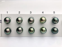 Tahitian Loose Pearls , Round AA, Peacock Matched Pairs, 10-10.5mm, #626