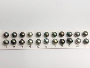 10.5-11mm Tahitian Pearls Semi-Round, AA, Loose Matched Pairs 11mm (206)