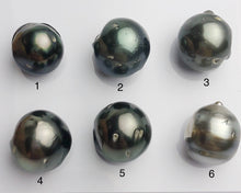 Carved Skulls Tattoo Tahitian Pearl 12-14mm (612)