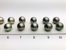 Tahitian Loose Pearl, AA, Peacock Color Matched Pairs 11mm to 11.9mm, #625