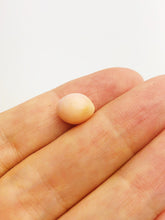 Conch Pearl Loose 10.5mm x 7.94mm No. 21