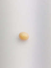 Conch Pearl Loose 8.8mm x 7.34mm No. 29