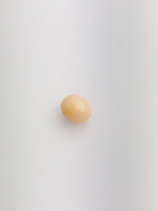 Conch Pearl Loose 8.8mm x 7.34mm No. 29