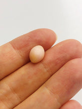 Conch Pearl Loose 10.5mm x 7.94mm No. 21