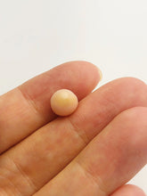 Conch Pearl Loose 10.5mm x 7.94mm No. 21