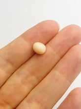 Conch Pearl Loose 8.8mm x 7.34mm No. 29