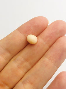 Conch Pearl Loose 8.8mm x 7.34mm No. 29