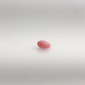 Conch Pearl Loose 5mm x 7.9mm #67