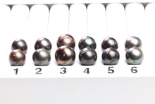 Paired Tahitian Pearl Matched Sets (12-14mm), Pick Your Pearls! (PLP022)