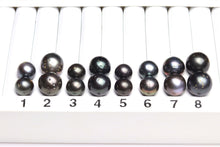 Paired Tahitian Pearl Matched Sets (12-13mm), Pick Your Pearls! (PLP106)