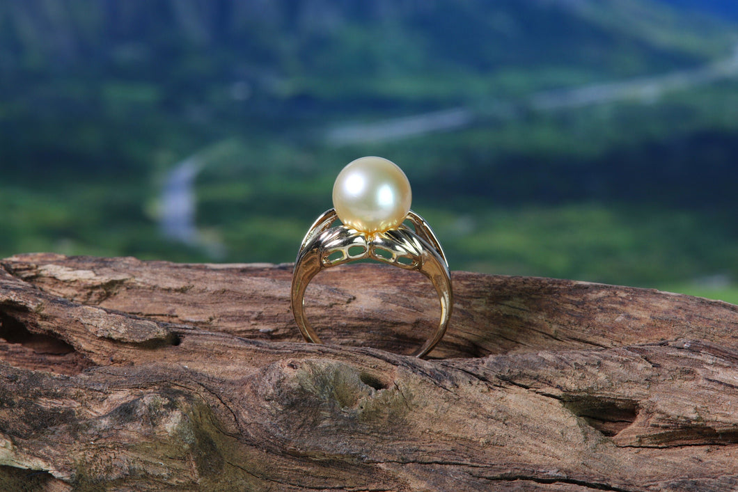 14K Gold Pearl Ring Setting  (JPR-670)