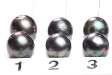 Paired Tahitian Pearl Matched Sets (12-14mm), Pick Your Pearls! (PLP004)