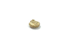 14KGF shell charm , 14K gold filled , Sku#GF/CR6/SS/D