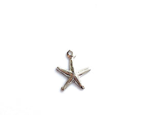 Starfish Charm , Sku500C29