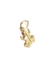 14KGF frog charm , 14K gold filled , Sku # 1857-C