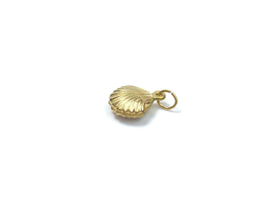 14KGF shell charm , 14K gold filled , Sku#GF/CR6/SS/D