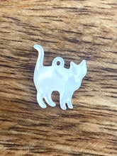 Mother Of Pearl Cat Shell, Sku#M157