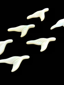 White South Sea Mother Of Pearl Tail Sku#M152