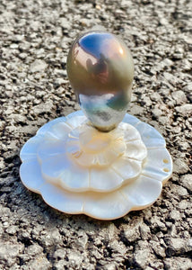 Tahitian pearl 27mm x 20mm GIANT Pearl