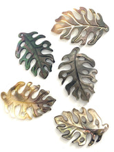 Mother Of Pearl Leaf Shell, Sku#M101-1