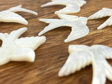 Mother Of Pearl Bird Shell, Sku#M175