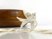 Mother Of Pearl Bird Shell, Sku#M175