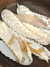 White South Sea Mother Of Pearl Leaf #5 Sku#M282