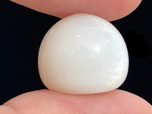 Tridacna Pearl, Natural Pearl