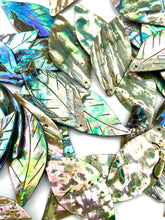 Leaf abalone mother of pearl, SKU# M845