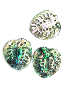 Abalone Monstera Leaf, Sku#M1031