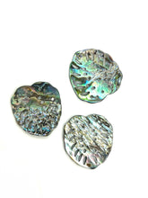 Abalone Monstera Leaf, Sku#M1031