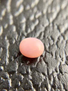 Conch Loose Pearl 0.81 ct  No. 59