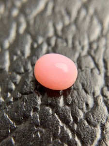 Conch Loose Pearl 0.81 ct  No. 59